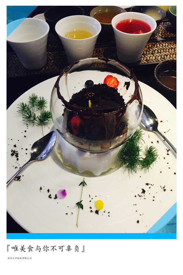 2015年第十二屆上海模型展，大華參展！